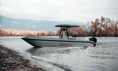 Swiss Cat 22 Deluxe 2