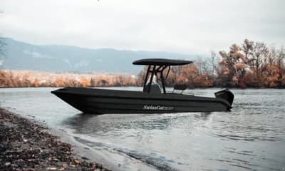 Swiss Cat 22 Deluxe 3
