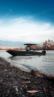 Swiss Cat 22 Deluxe 5