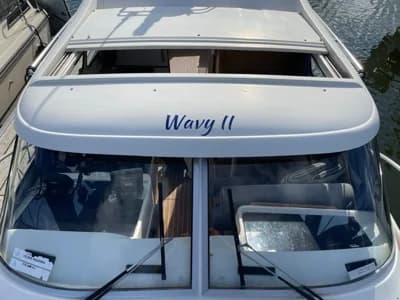 Bella Falcon 26 Fantino 5