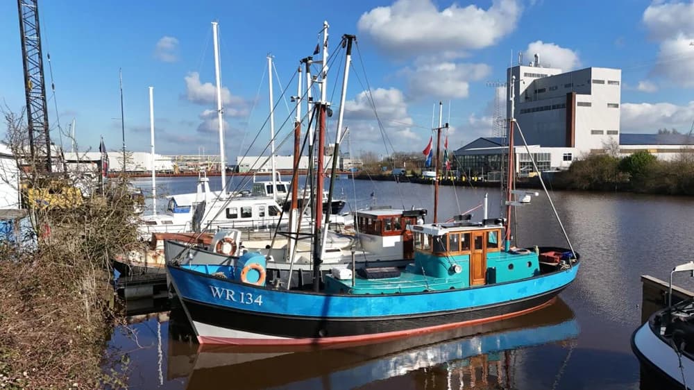 Noordzeekotter ’WR 134’