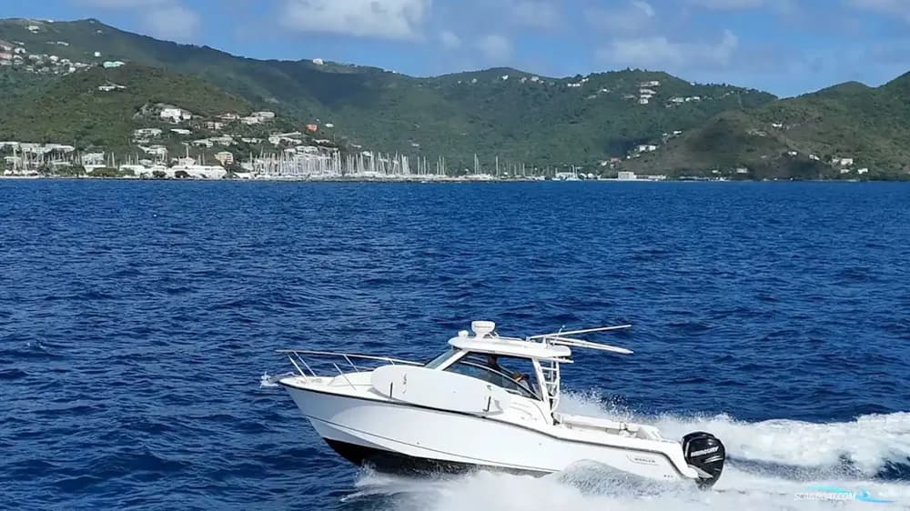 Boston Whaler 315 Conquest