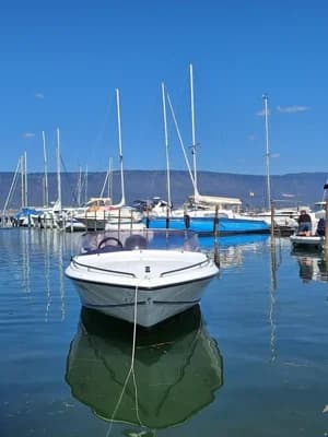 Tullio Abbate Sea Star FB 2