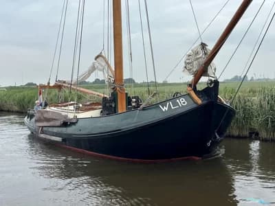Lemsteraak WL 18 Fasant - Roefuitvoering Jachtuitvoering 2