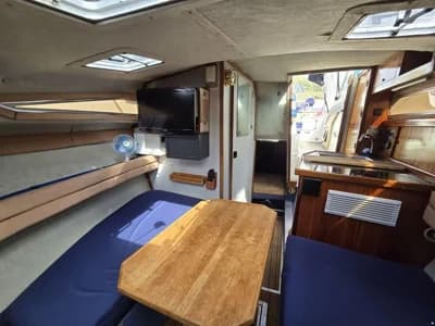Sea Ray 220DA 3