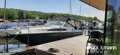 Sea Ray 310 SAD 2