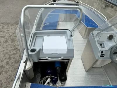 Linder 460 Arkip Mercury 50 HK Efi 2