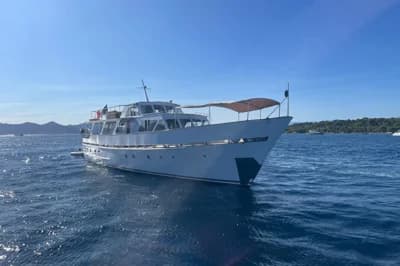 Dagless ambassador 2