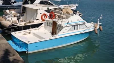 1981 Bertram 28 Flybridge 2