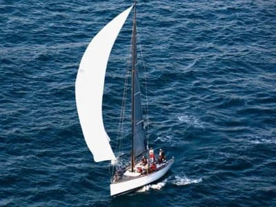 Mylius 14E55 3