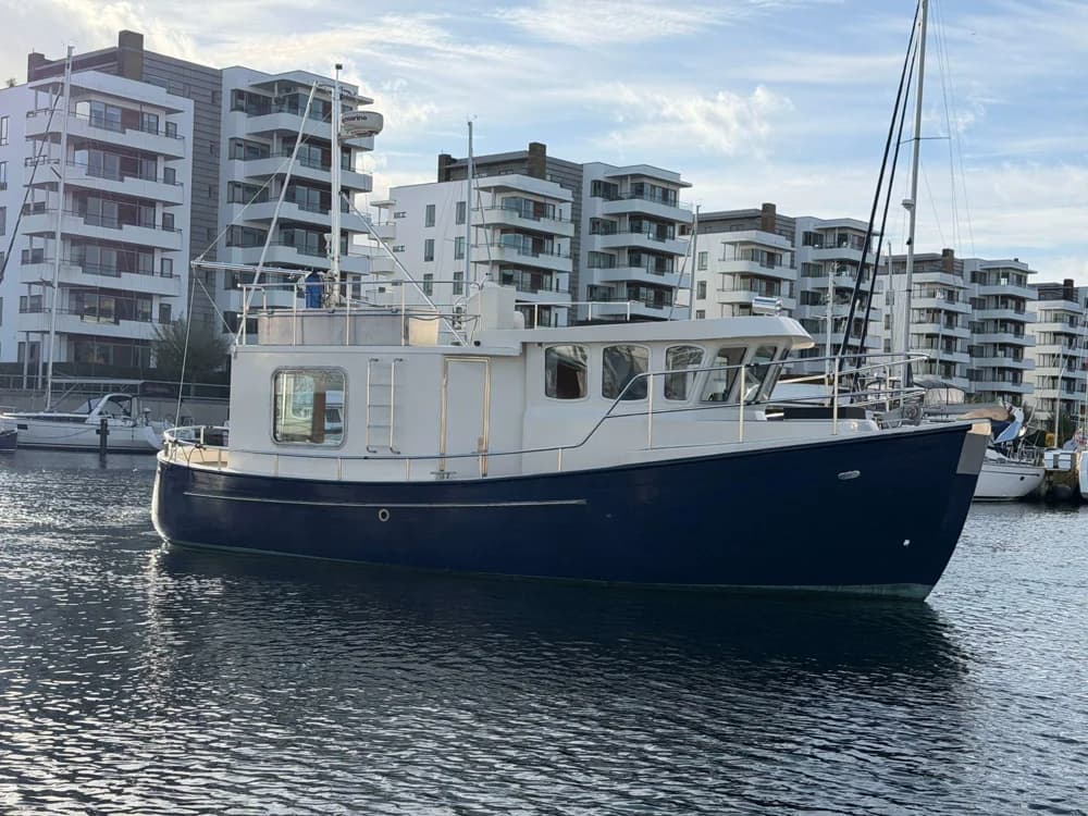 DYREBORG 33