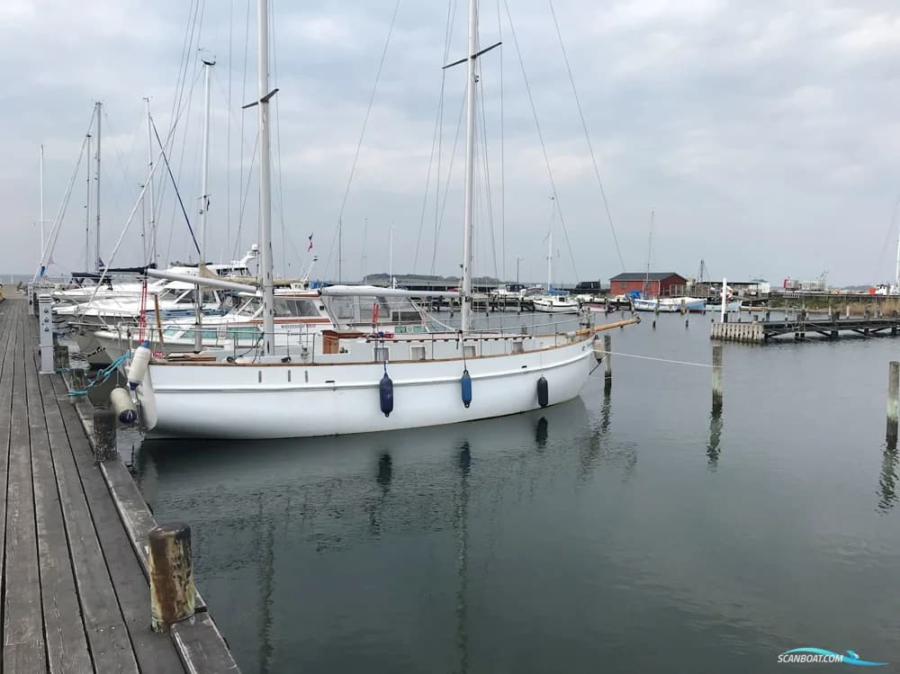 Albatros 33