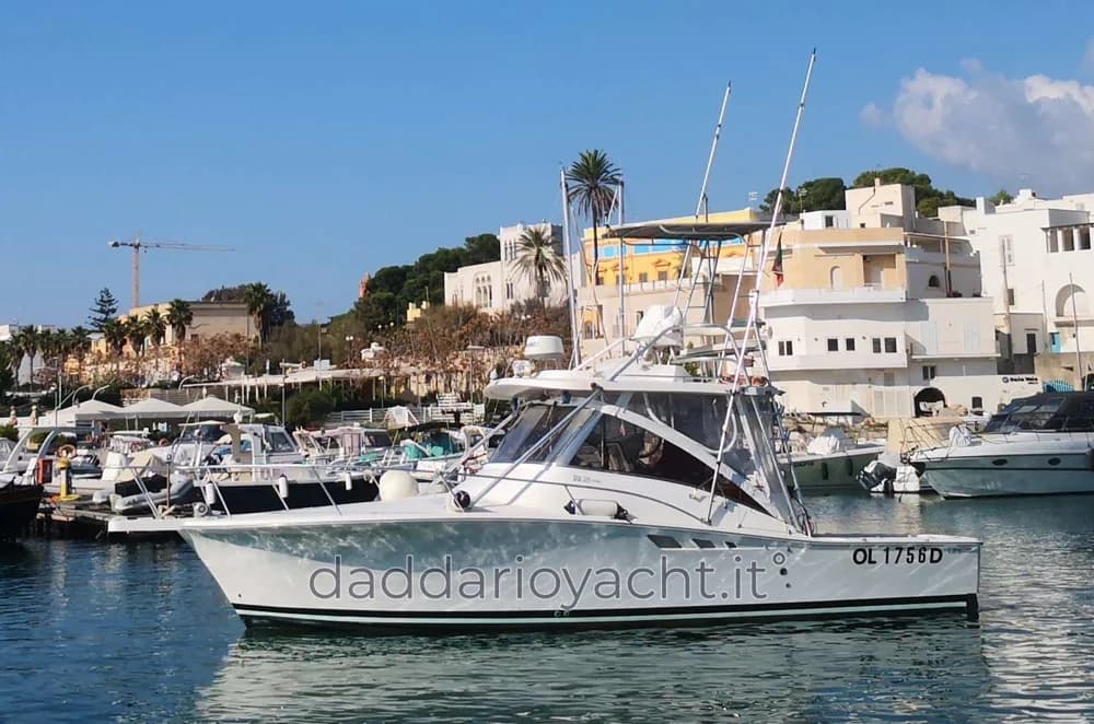 LUHRS 320 CONVERTIBLE
