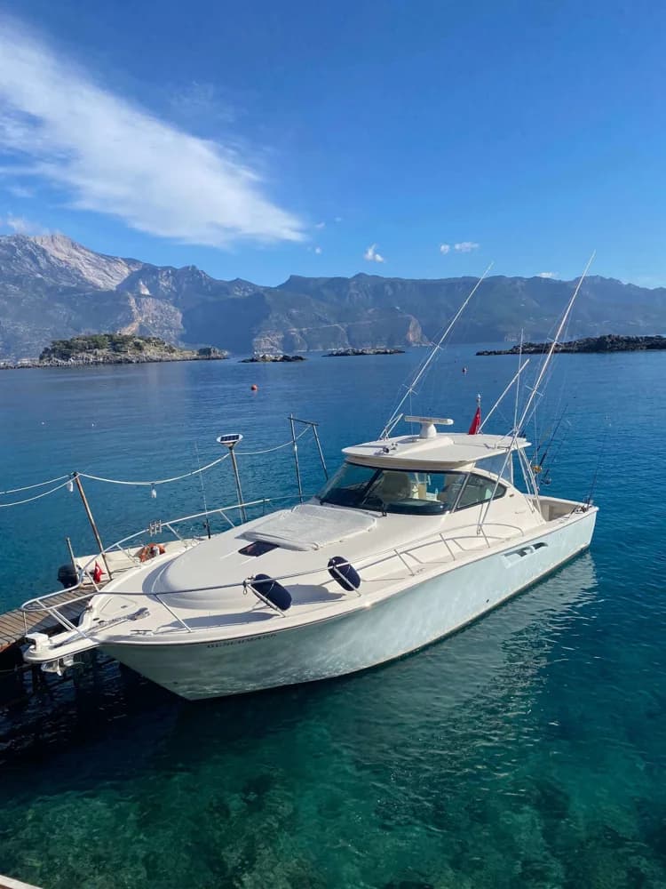 TIARA 4300