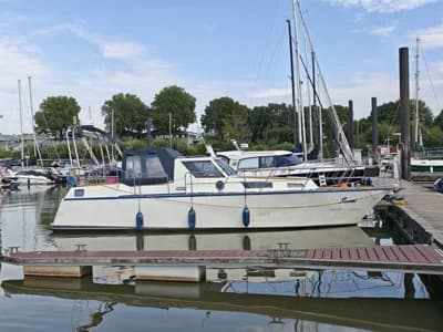 Reinke Tourina 10m 3