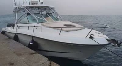 HYDRA SPORT 2900 VECTOR VX 2