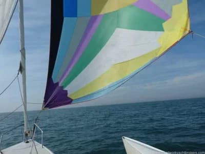 QUORNING BOATS DRAGONFLY 800 SW 3