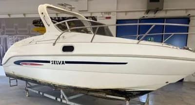 SELVA S 6.5 CABIN SPORT 2