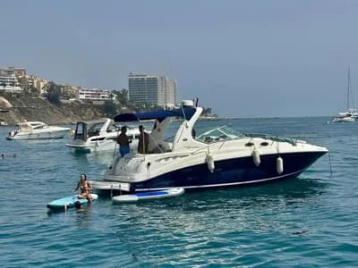 Sea Ray 355 Sundancer 3