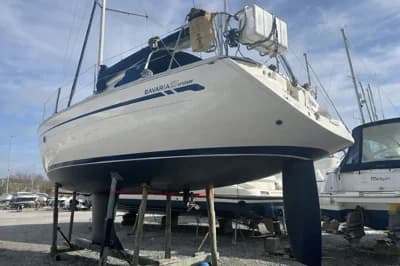 Bavaria 37 Cruiser 3
