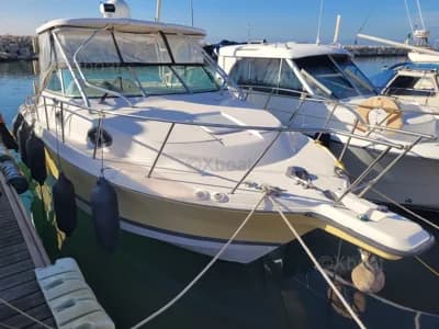 Wellcraft Coastal 290 3