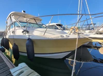 Wellcraft Coastal 290 4