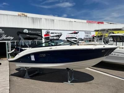 Sea Ray SPX 190 Outboard 2