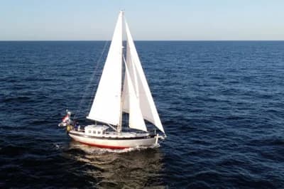 Noordkaper 43 2