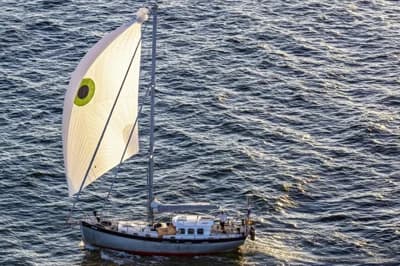 Noordkaper 43 4