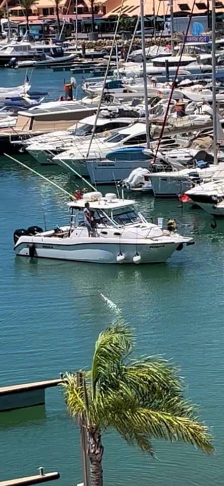 Boston Whaler 305 Conquest
