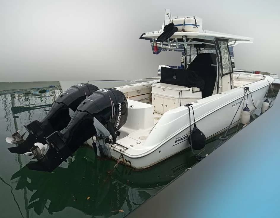 Boston Whaler 320