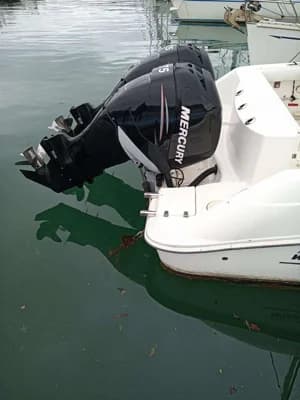 Boston Whaler 320 3