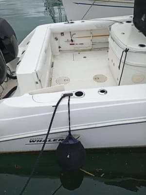 Boston Whaler 320 4