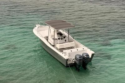 White Shark 265 3