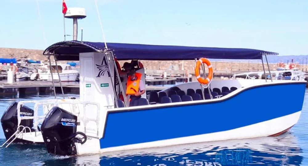 Olbap TR12 Open