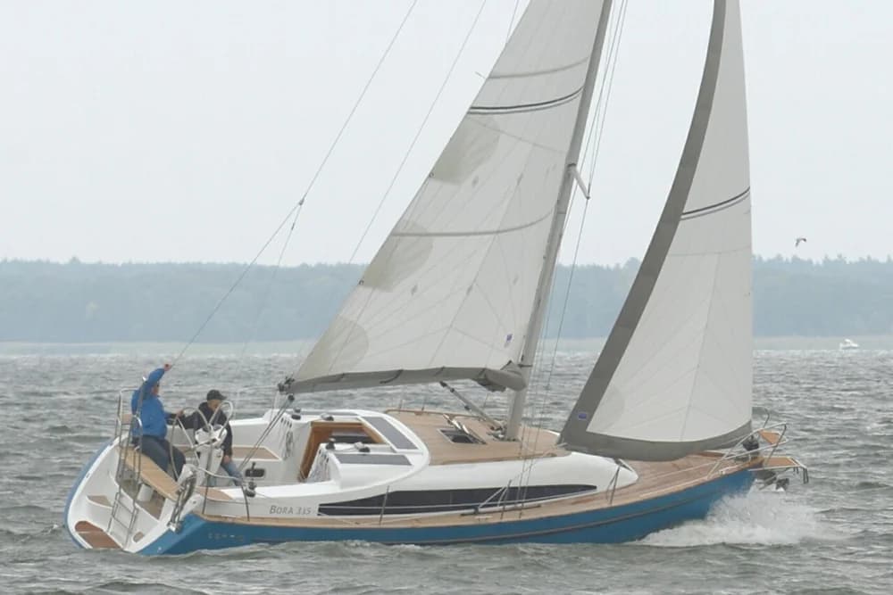 Bora 335