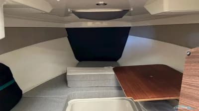 Quicksilver Activ 605 Cruiser 3