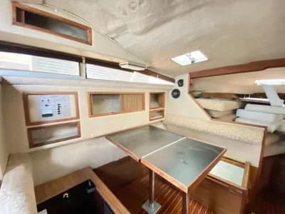 SEA RAY SUNDANCER 300 3