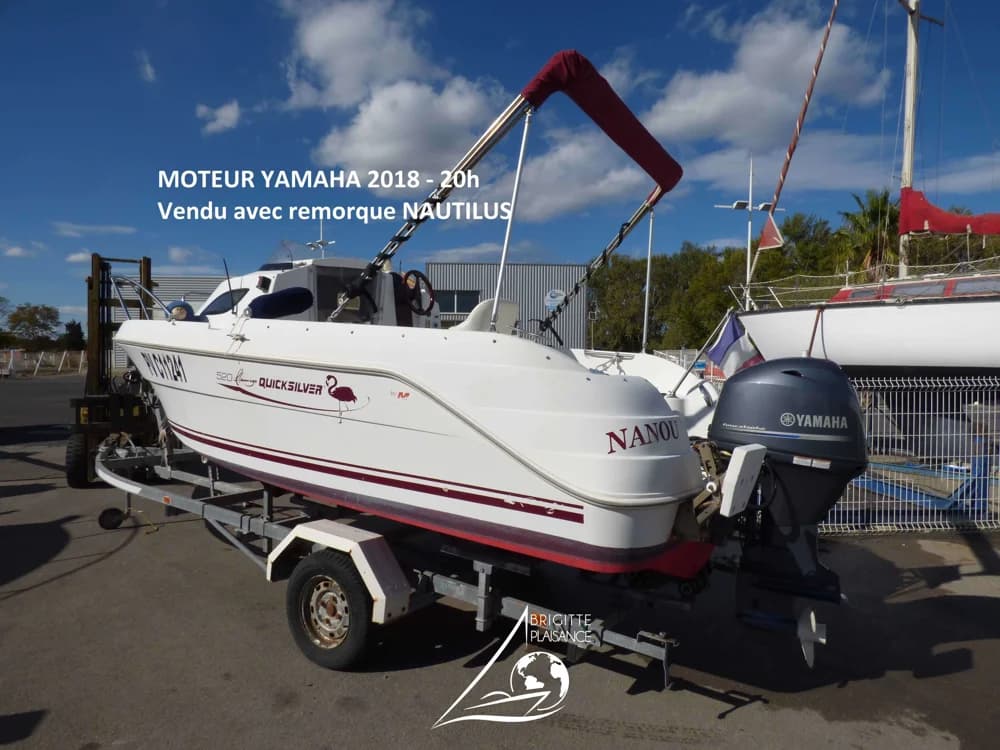 QUICKSILVER 520 FLAMINGO