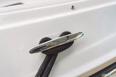Sea Ray Sdx 250 4