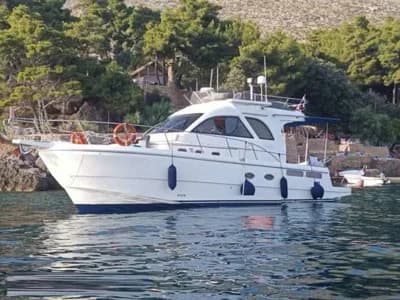 BLUE NAVY 430 2