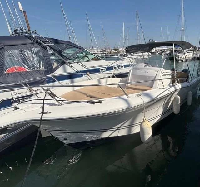 WHITE SHARK 246