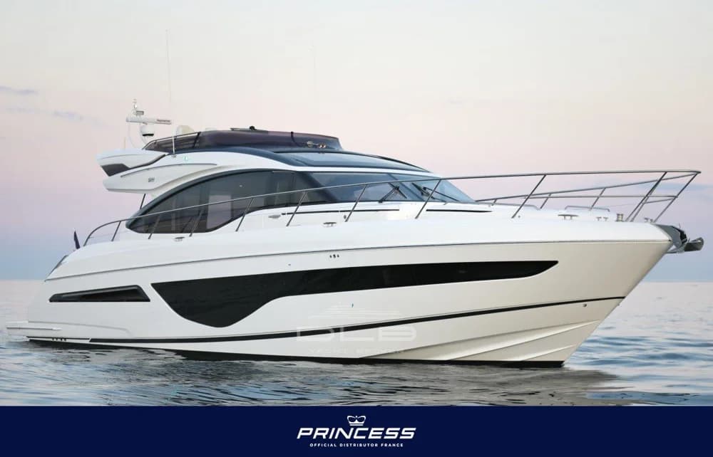 2020 Princess S66