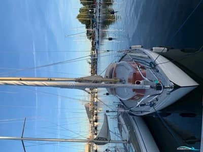 Vindö 50 2