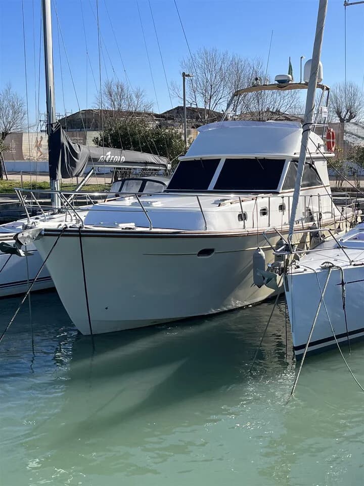 Estensi 440 Goldstar Fly