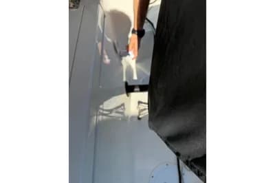 2024 Quicksilver 805 Pilothouse 4
