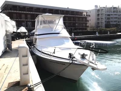 1995 Bertram 43 Flybridge 2