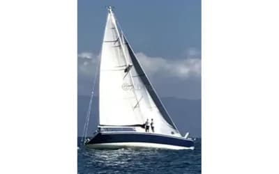 Shark 50 4