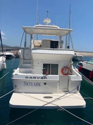 Carver 41 4