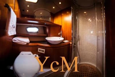 2010 Cantieri Estensi Goldstar 460 Fly 3